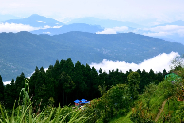 Darjeeling Chatakpur Package Tour 4Days/3N (Standard)