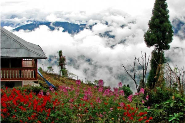 Darjeeling Kalimpong Lava Package Tour 5Days/4N (Deluxe)