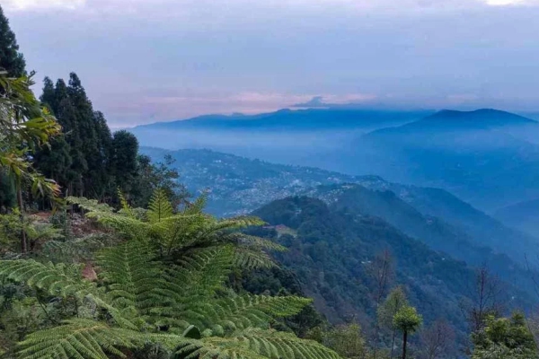 Darjeeling Kalimpong Package Tour 4Days/3N (Deluxe)