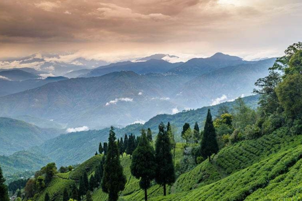 Darjeeling Kalimpong Package Tour 5Days/4N (Deluxe)