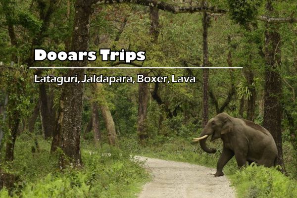 Dooars Package Tours